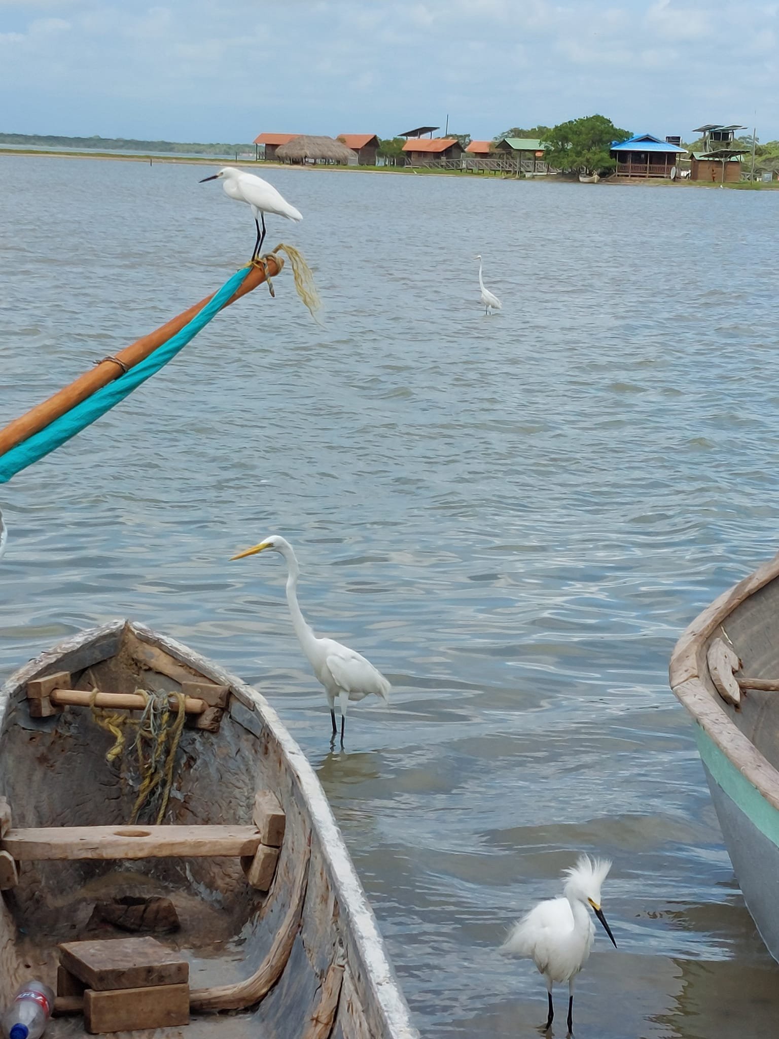 We Expand Our Destinations Nationwide